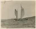 Image of Newfoundland fishing schooner wing and wing